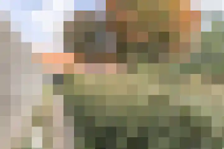 Zuiderbeemd 11 Oosterhout thumbnail 39