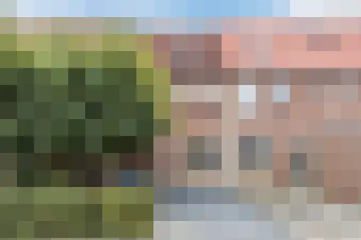 Zuiderbeemd 11 Oosterhout thumbnail 43