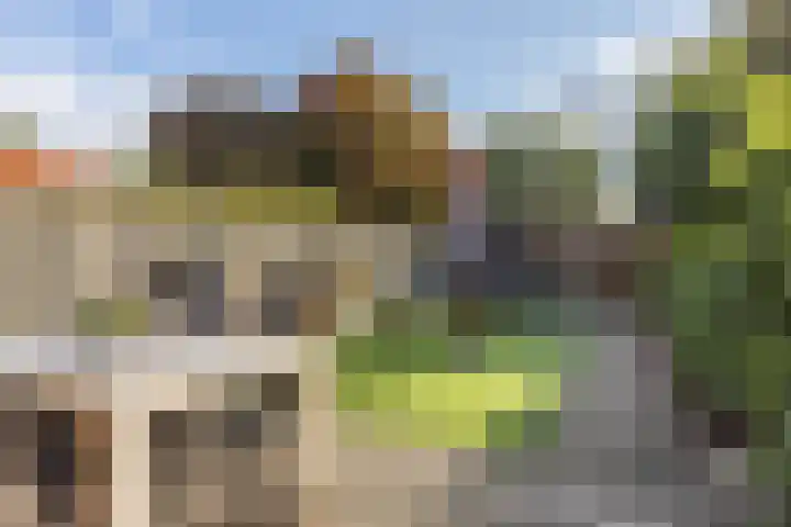 Zuiderbeemd 11 Oosterhout thumbnail 6