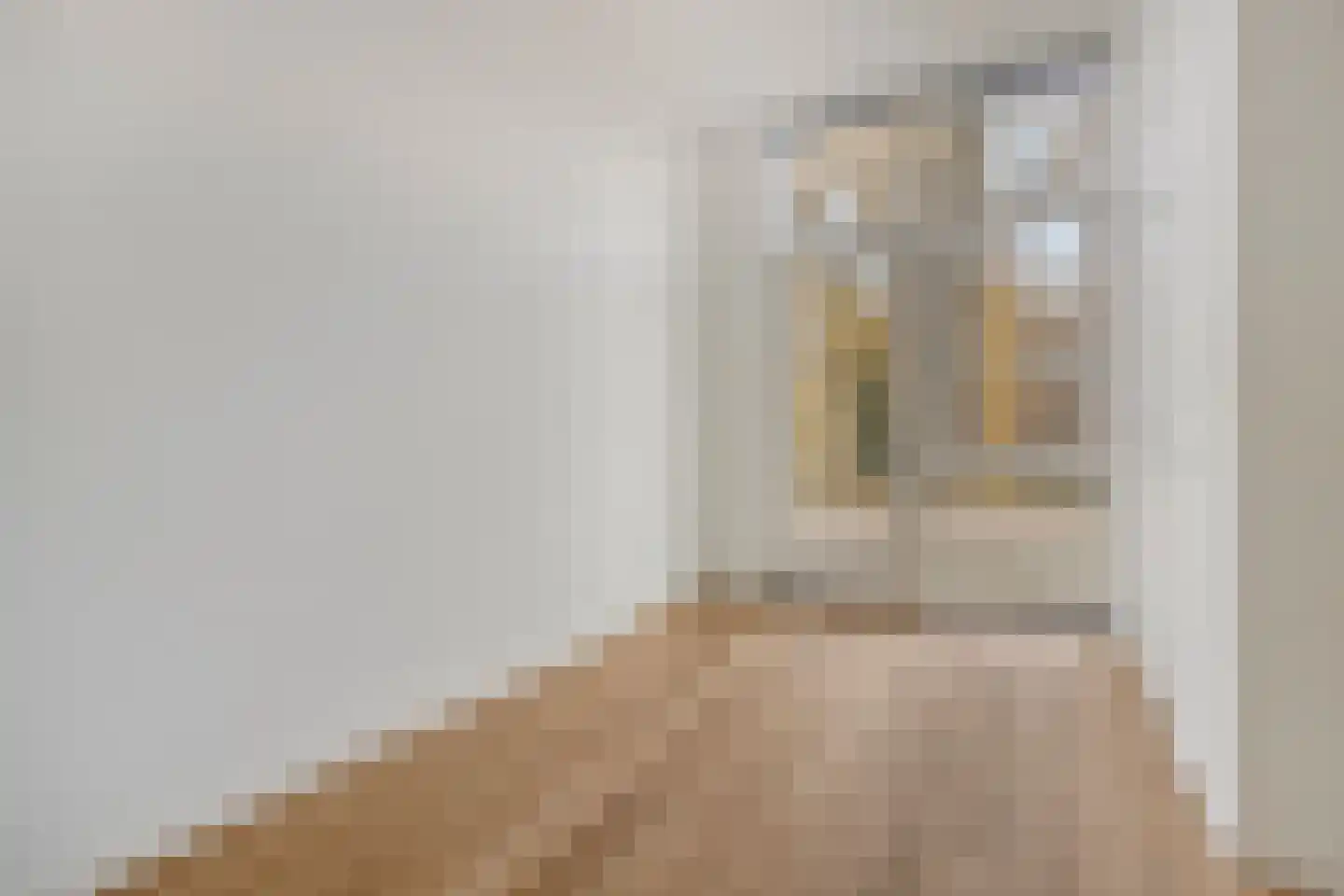 Zuiderbleek 1 a Lochem thumbnail 5