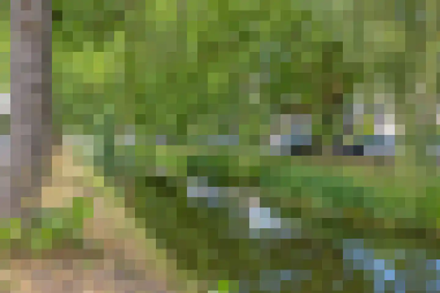 Zuiderbleek 1 d Lochem thumbnail 21