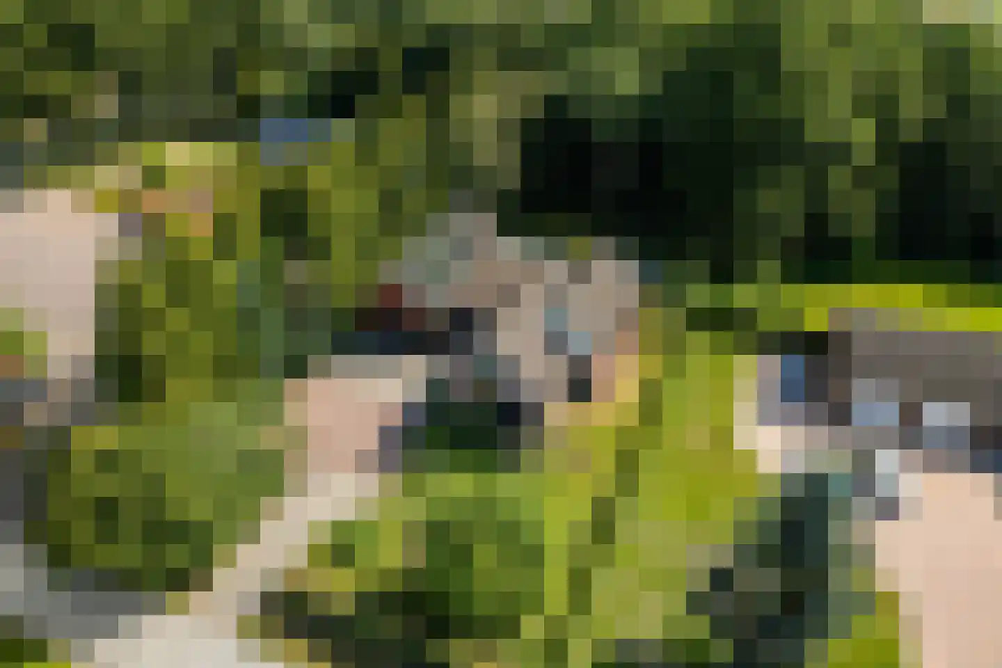Zuiderblokken 3 Drouwenermond thumbnail 41