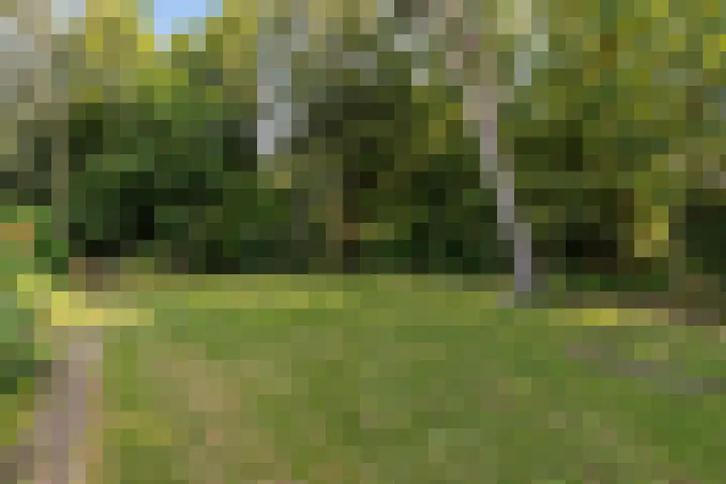 Zuiderblokken 3 Drouwenermond thumbnail 45