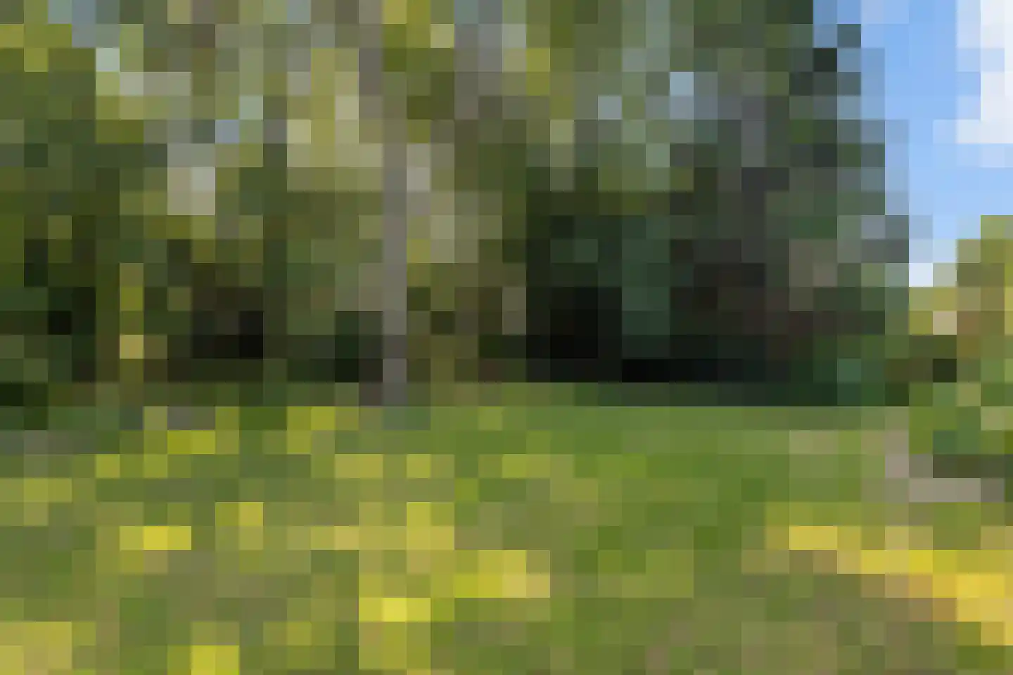 Zuiderblokken 3 Drouwenermond thumbnail 46