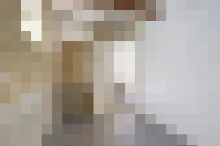 Zuiderbolwerk 18 Harlingen thumbnail 13