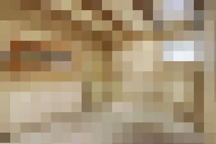 Zuiderbolwerk 18 Harlingen thumbnail 26