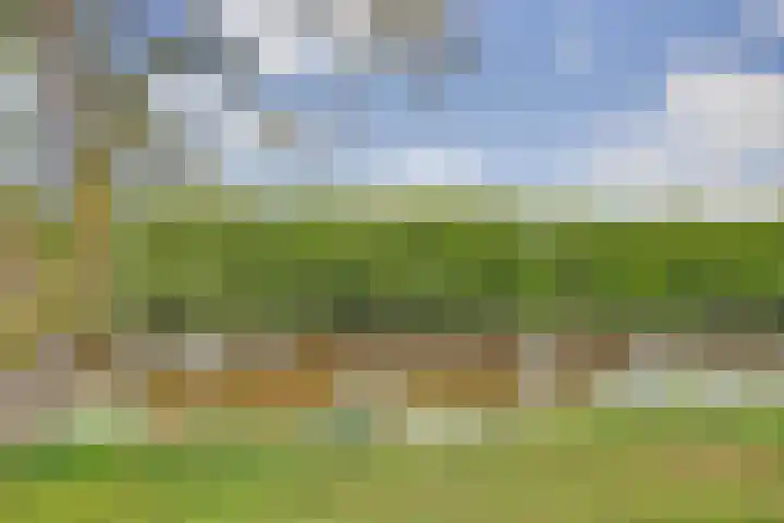 Zuiderbolwerk 18 Harlingen thumbnail 39