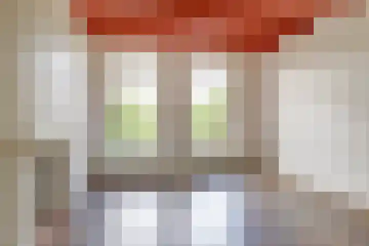 Zuiderbolwerk 18 Harlingen thumbnail 4