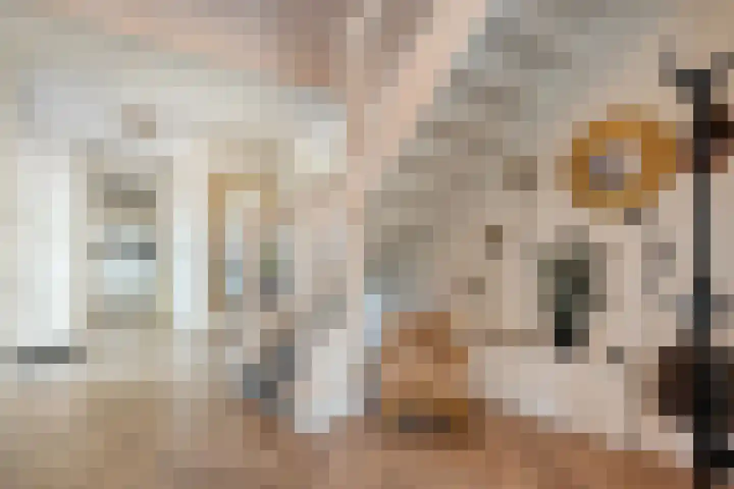 Zuiderboslaan 19 Dedemsvaart thumbnail 13