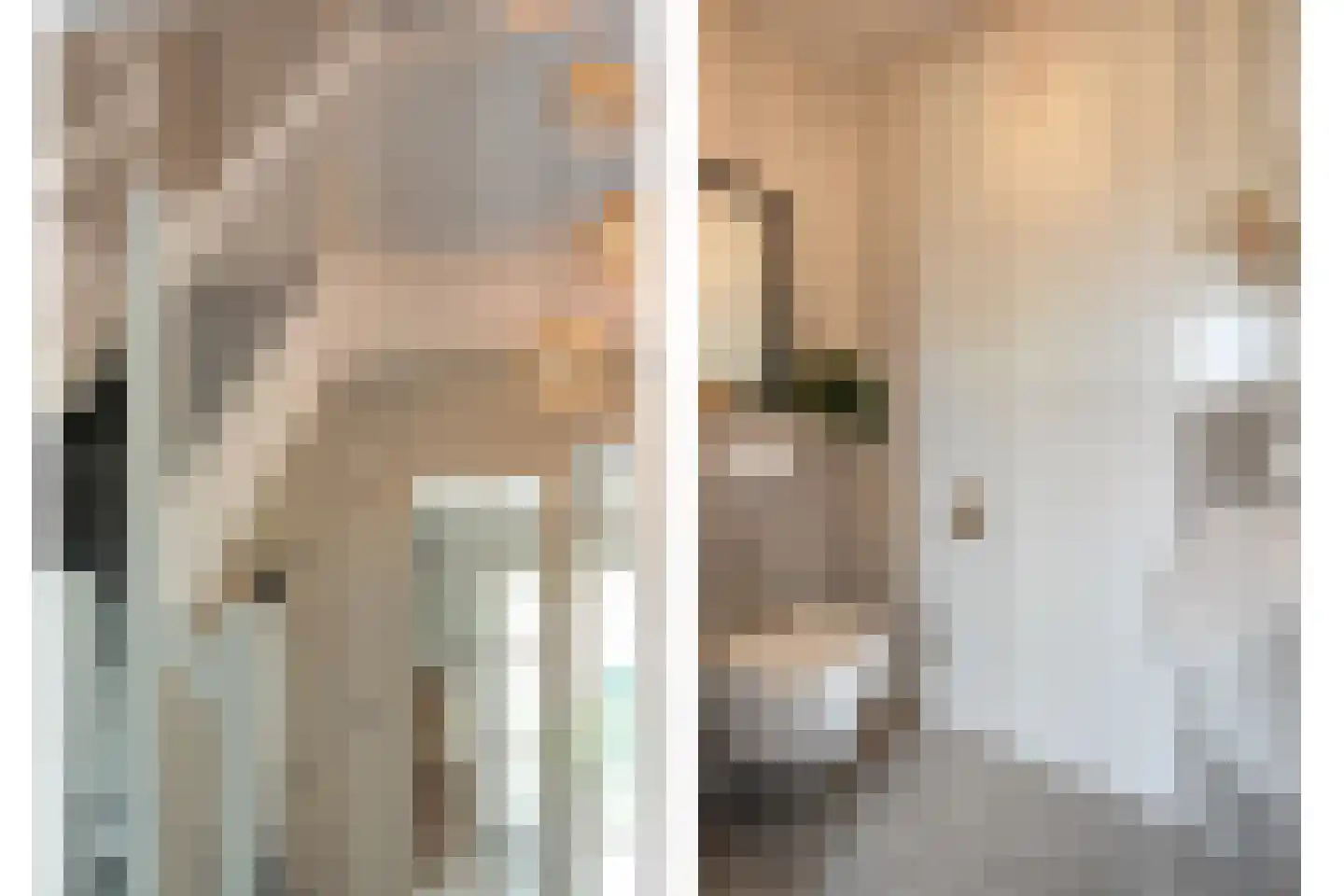 Zuiderboslaan 19 Dedemsvaart thumbnail 14