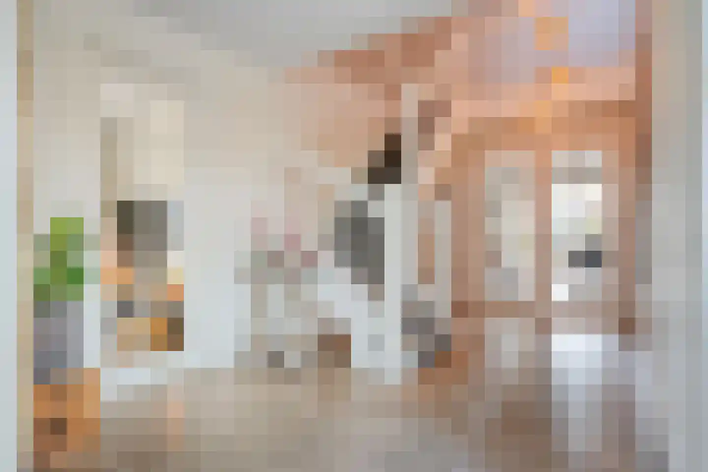 Zuiderboslaan 19 Dedemsvaart thumbnail 15