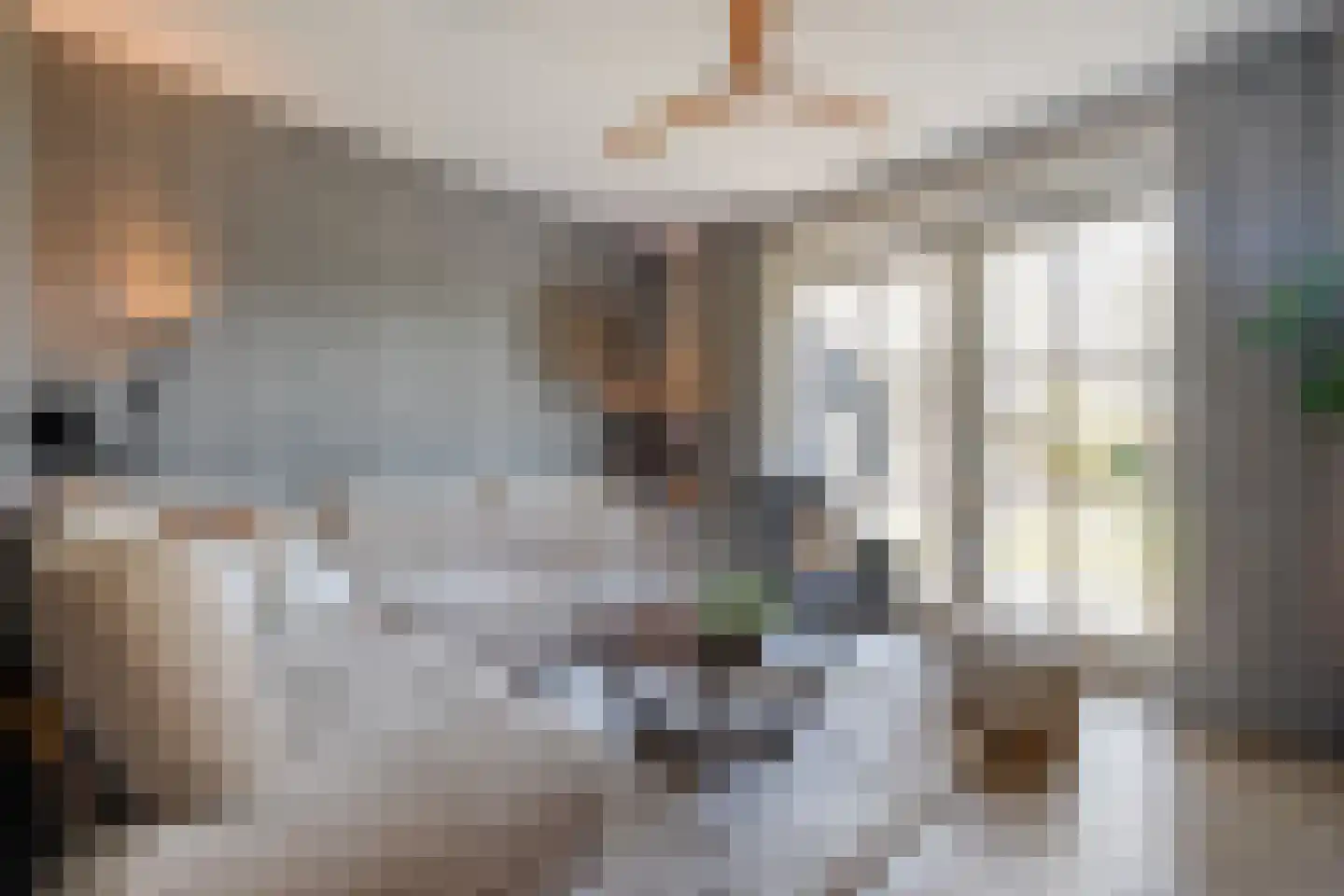 Zuiderboslaan 19 Dedemsvaart thumbnail 18