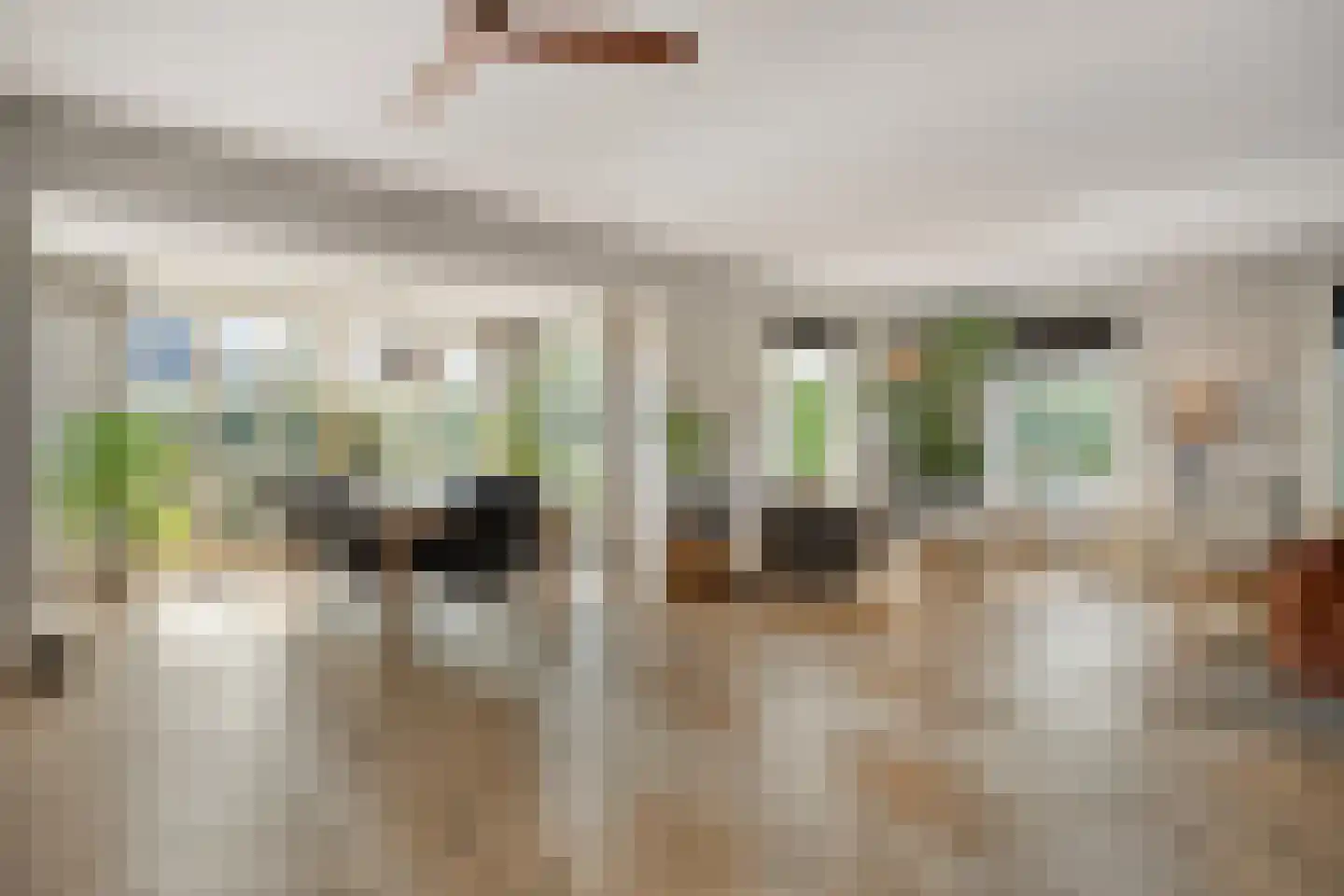 Zuiderboslaan 19 Dedemsvaart thumbnail 21