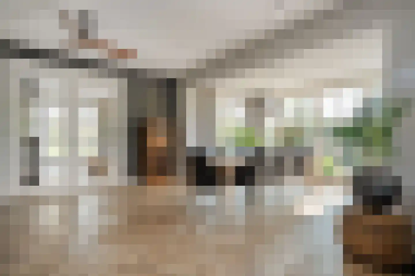 Zuiderboslaan 19 Dedemsvaart thumbnail 22