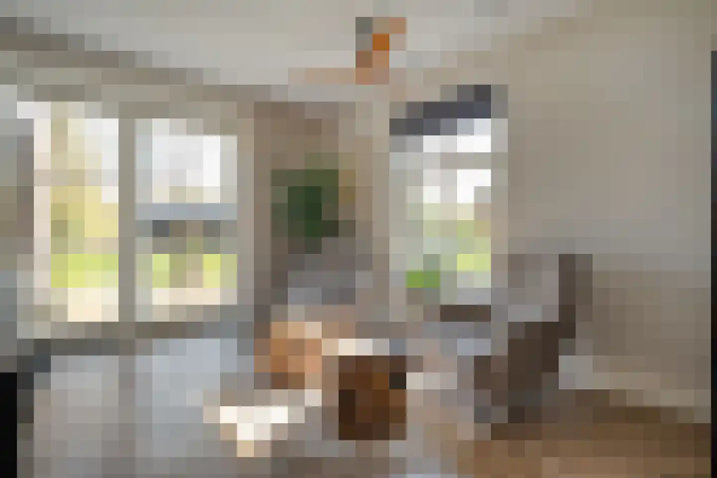 Zuiderboslaan 19 Dedemsvaart thumbnail 24