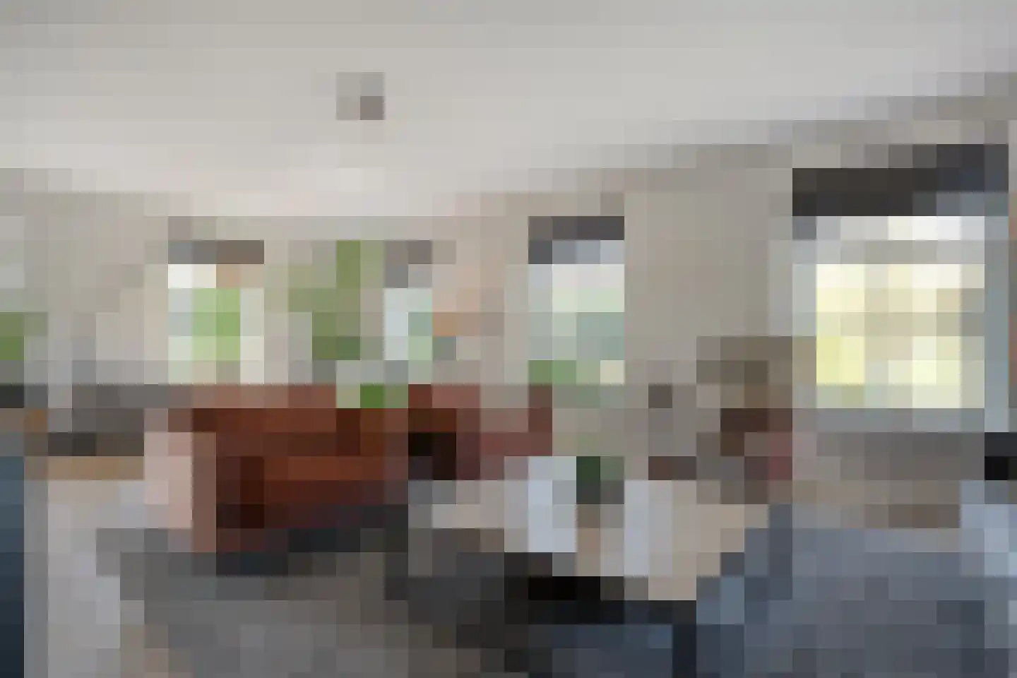 Zuiderboslaan 19 Dedemsvaart thumbnail 26