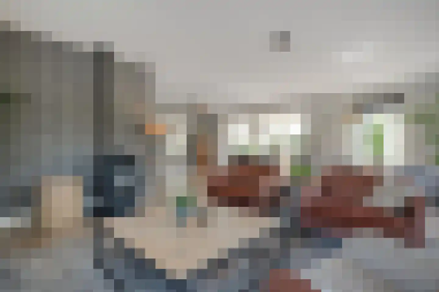 Zuiderboslaan 19 Dedemsvaart thumbnail 28