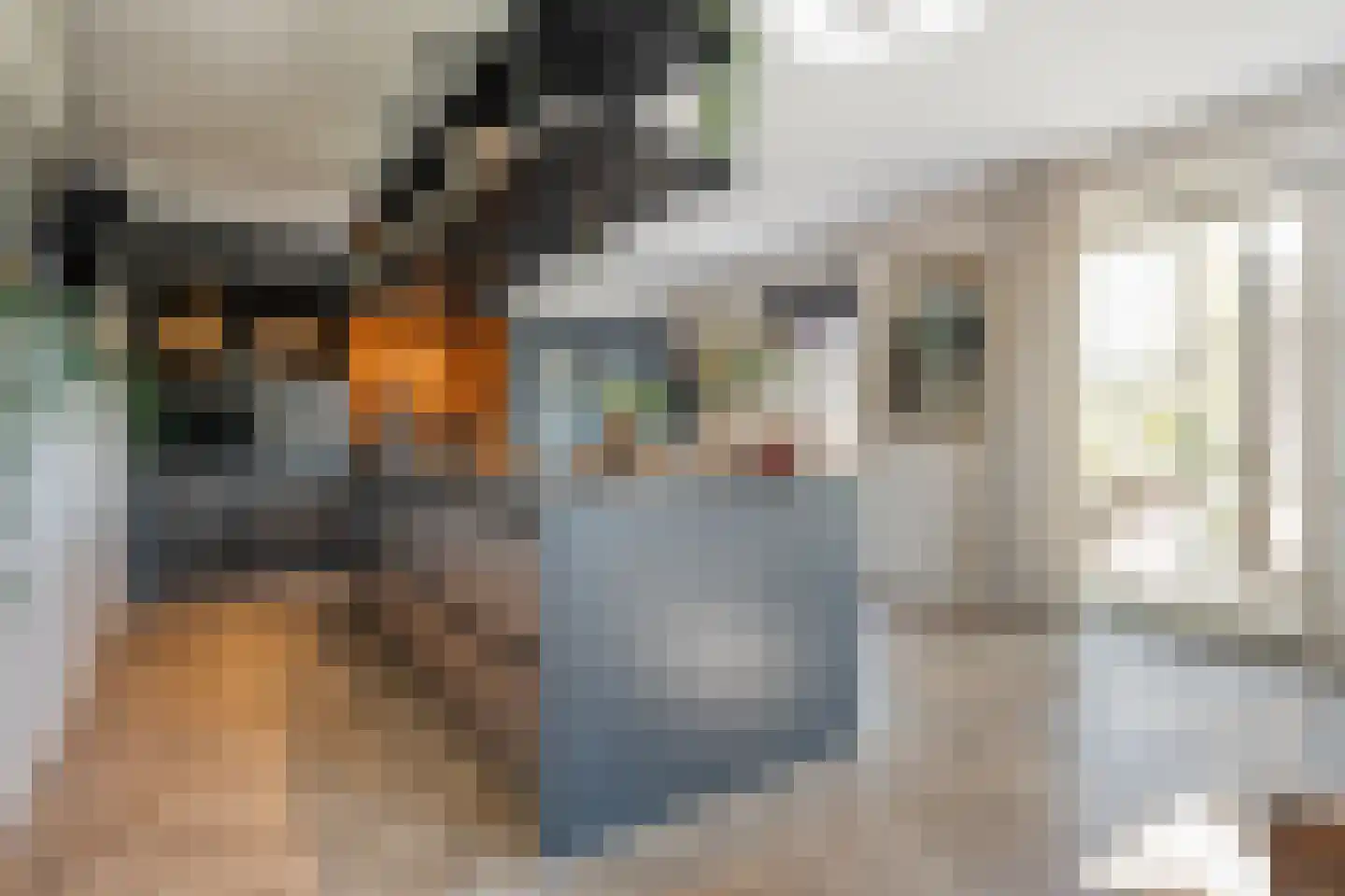 Zuiderboslaan 19 Dedemsvaart thumbnail 32