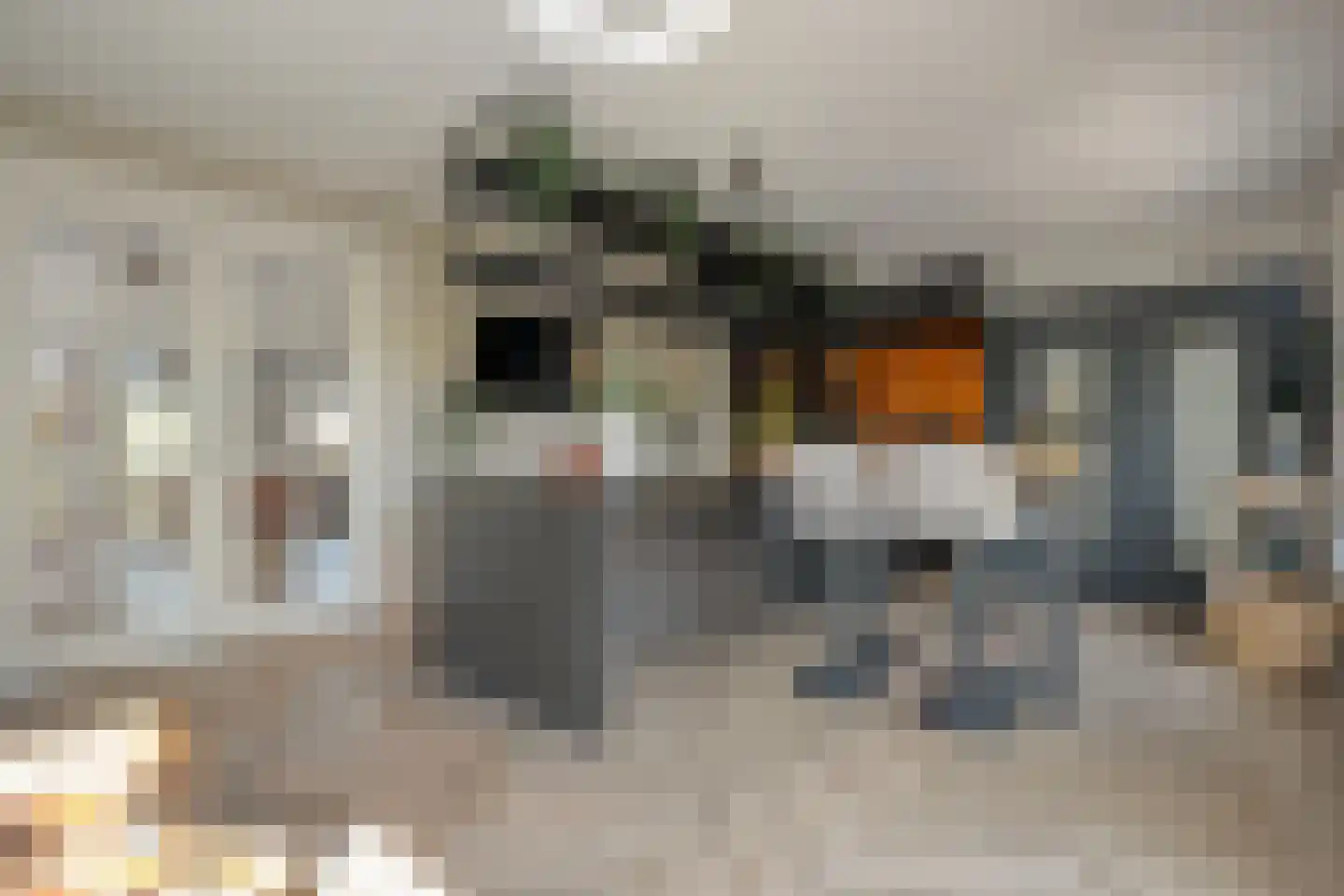 Zuiderboslaan 19 Dedemsvaart thumbnail 33