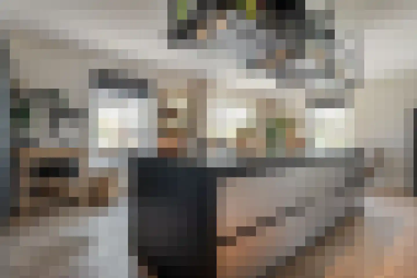 Zuiderboslaan 19 Dedemsvaart thumbnail 34