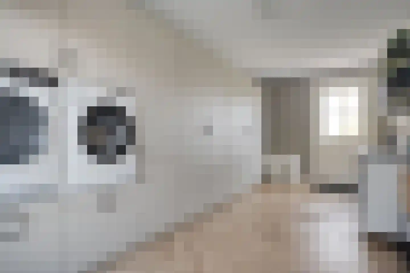 Zuiderboslaan 19 Dedemsvaart thumbnail 37