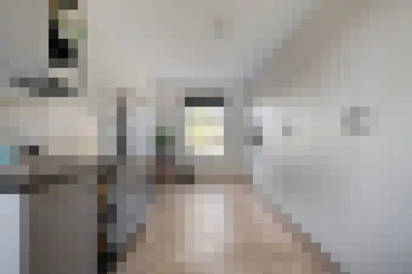 Zuiderboslaan 19 Dedemsvaart thumbnail 38