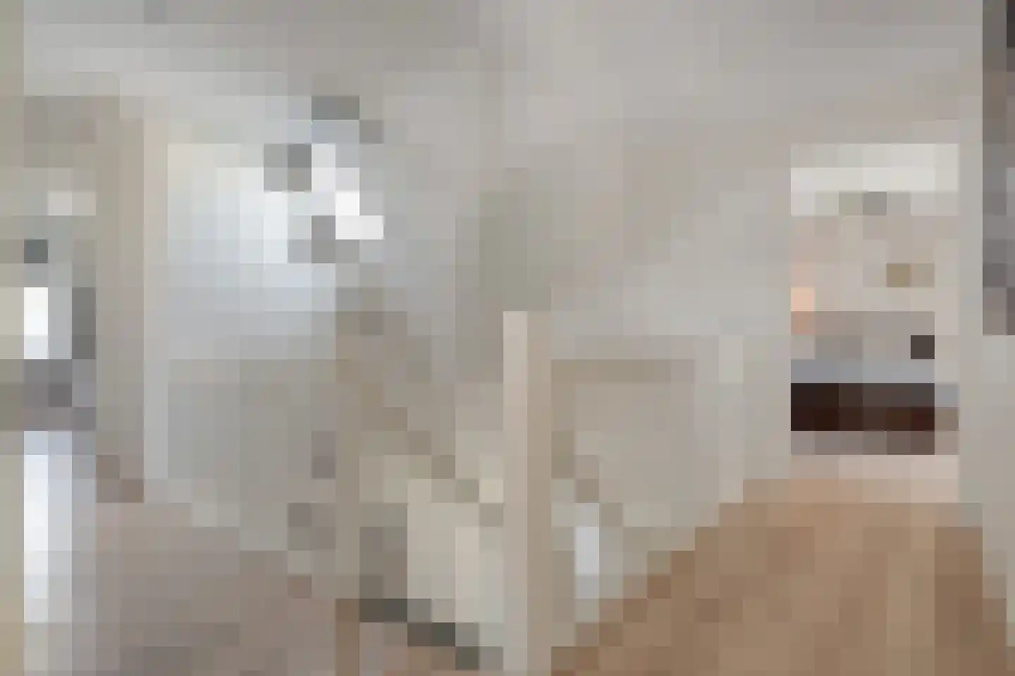 Zuiderboslaan 19 Dedemsvaart thumbnail 39