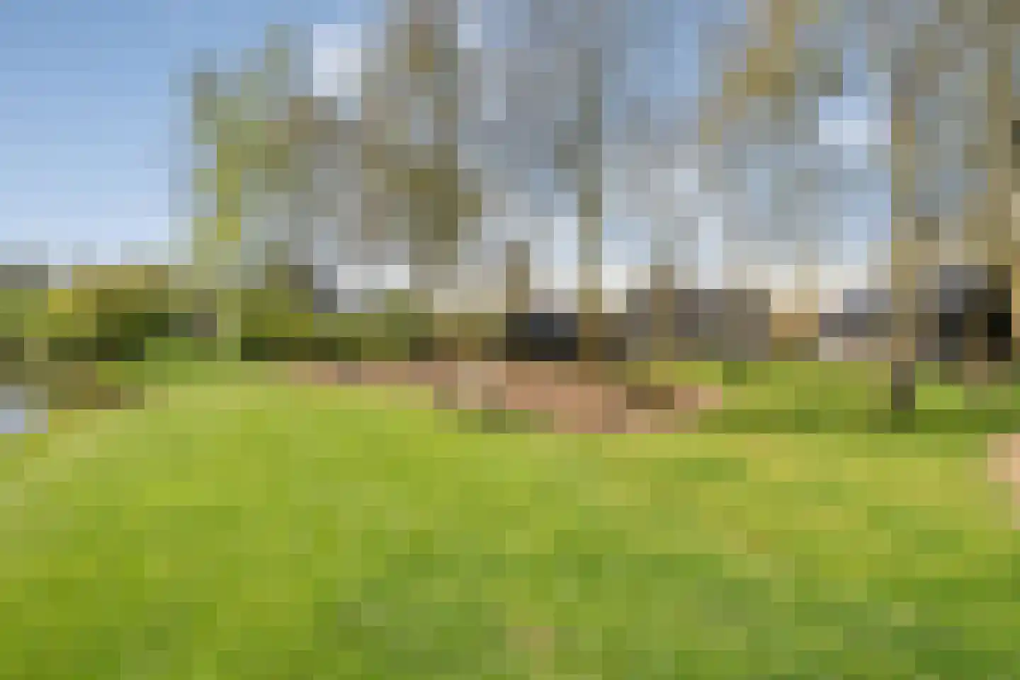 Zuiderboslaan 19 Dedemsvaart thumbnail 4