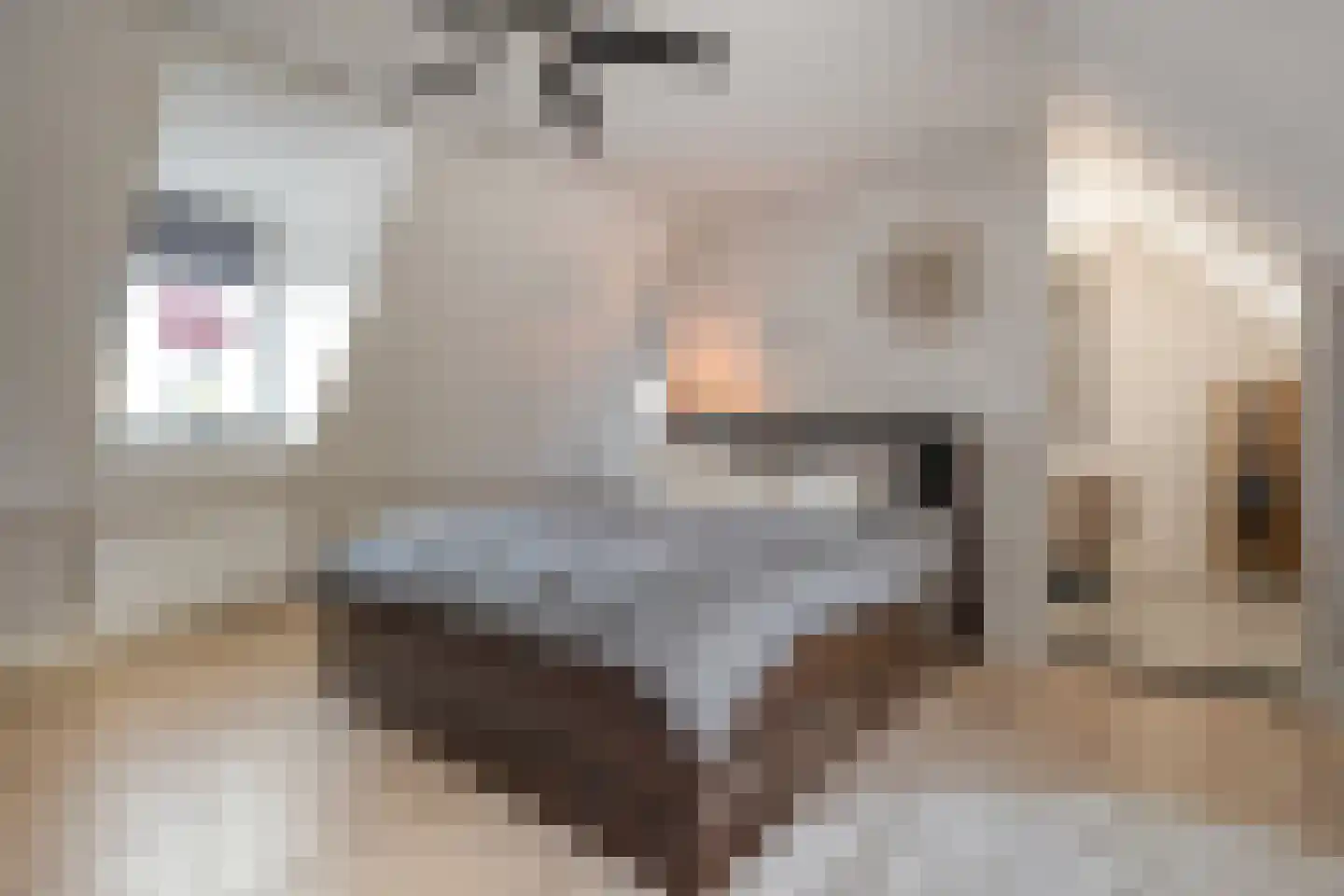Zuiderboslaan 19 Dedemsvaart thumbnail 42