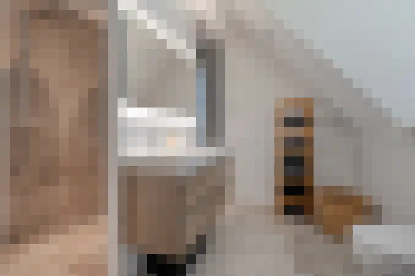 Zuiderboslaan 19 Dedemsvaart thumbnail 44