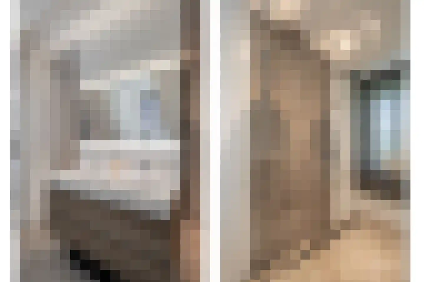 Zuiderboslaan 19 Dedemsvaart thumbnail 46