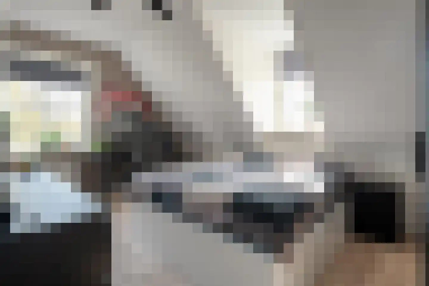 Zuiderboslaan 19 Dedemsvaart thumbnail 49