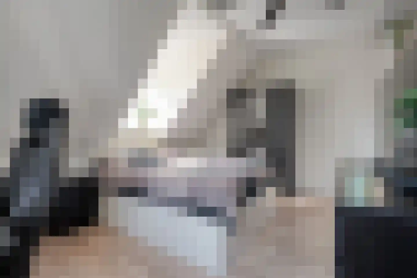 Zuiderboslaan 19 Dedemsvaart thumbnail 50