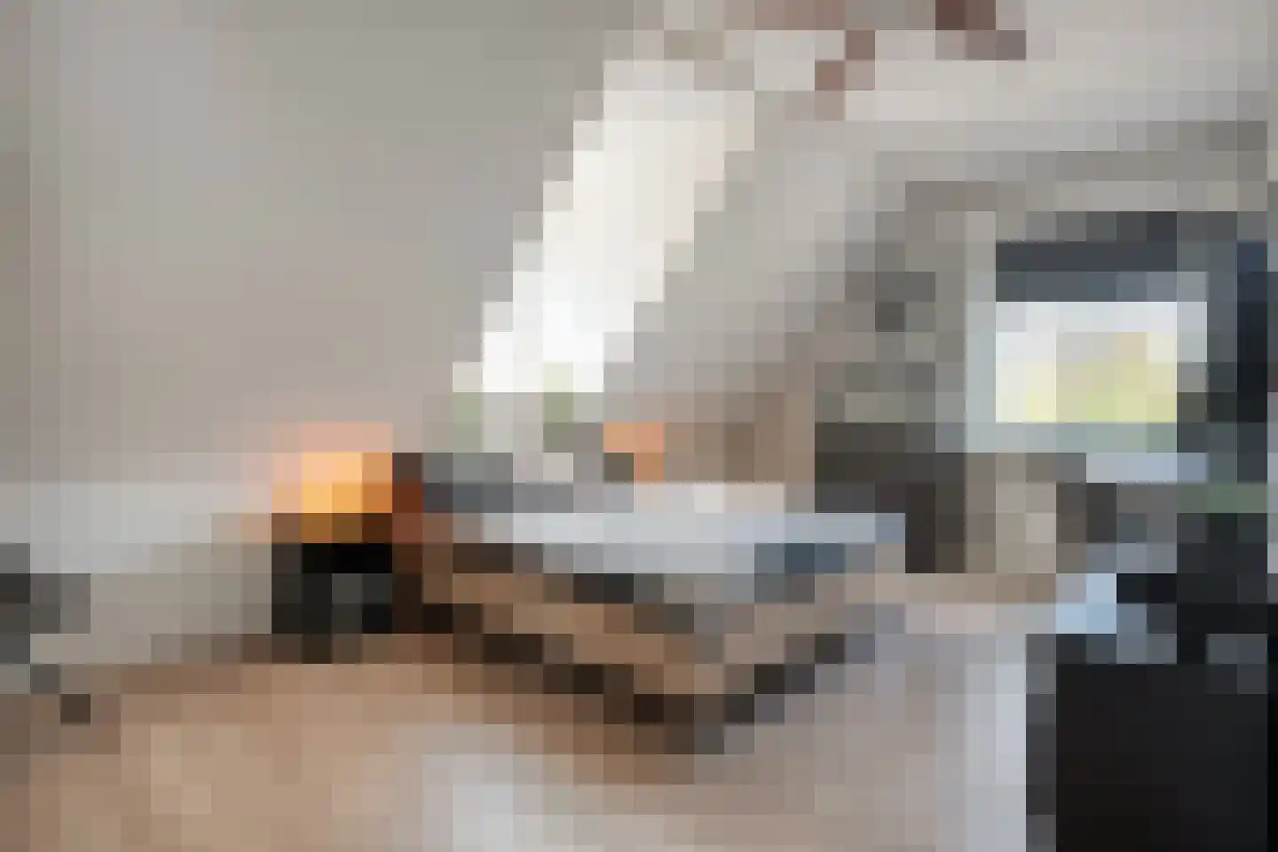 Zuiderboslaan 19 Dedemsvaart thumbnail 51