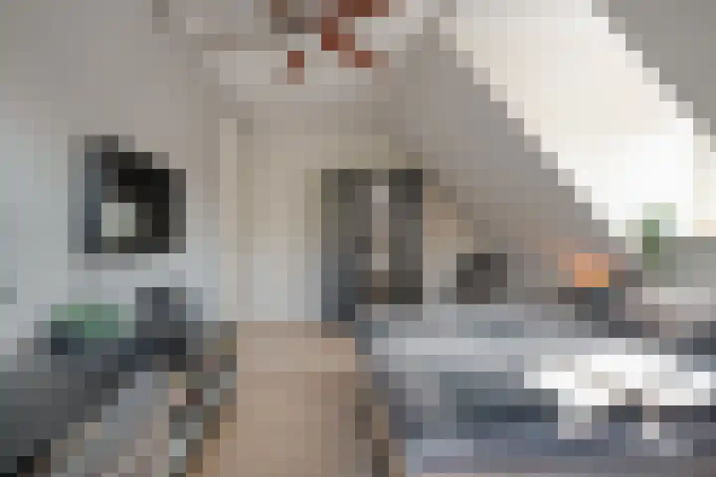 Zuiderboslaan 19 Dedemsvaart thumbnail 52