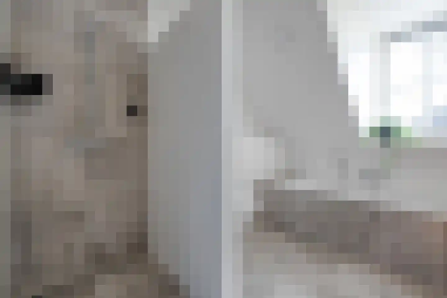 Zuiderboslaan 19 Dedemsvaart thumbnail 55