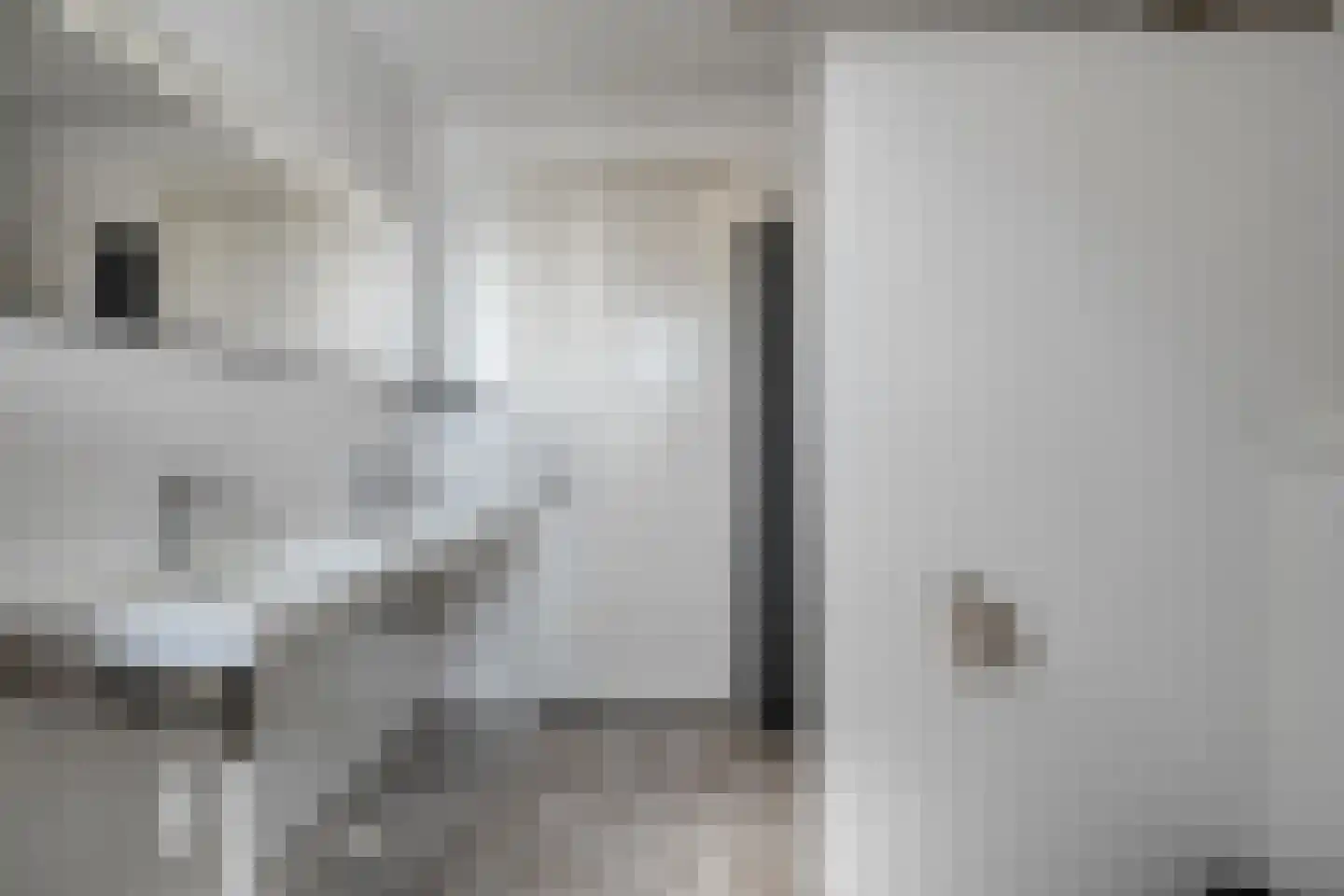 Zuiderboslaan 19 Dedemsvaart thumbnail 56