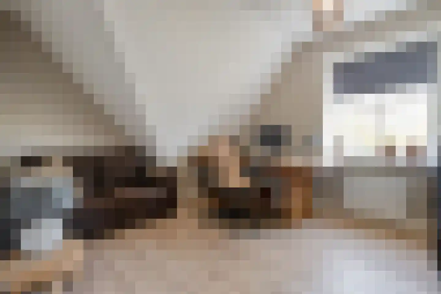 Zuiderboslaan 19 Dedemsvaart thumbnail 58