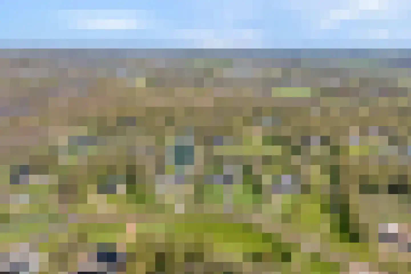 Zuiderboslaan 19 Dedemsvaart thumbnail 6