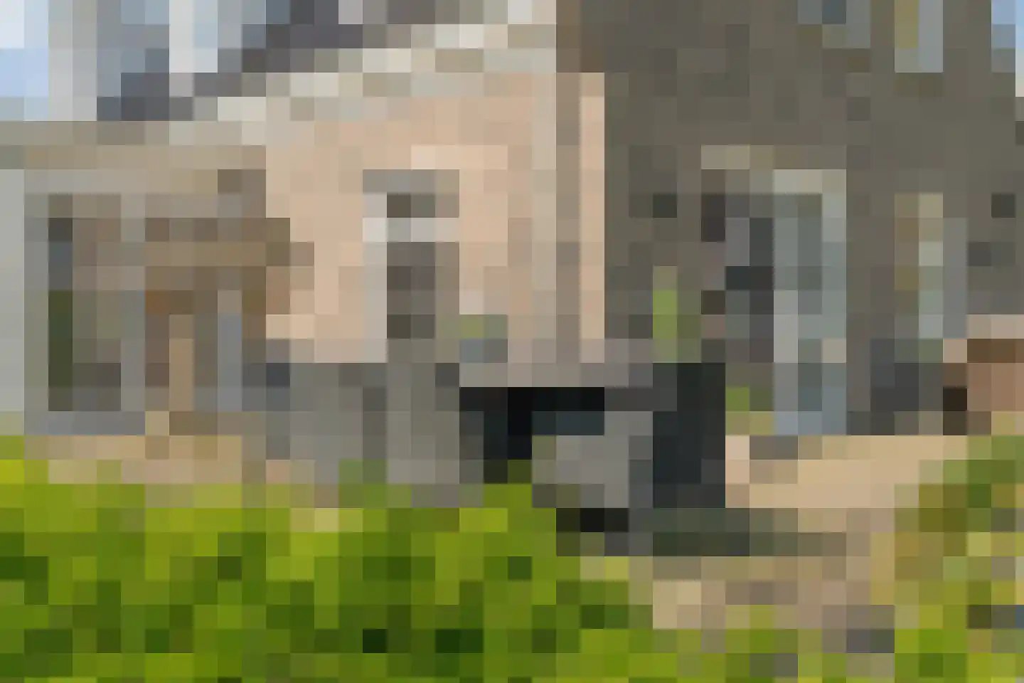 Zuiderboslaan 19 Dedemsvaart thumbnail 61