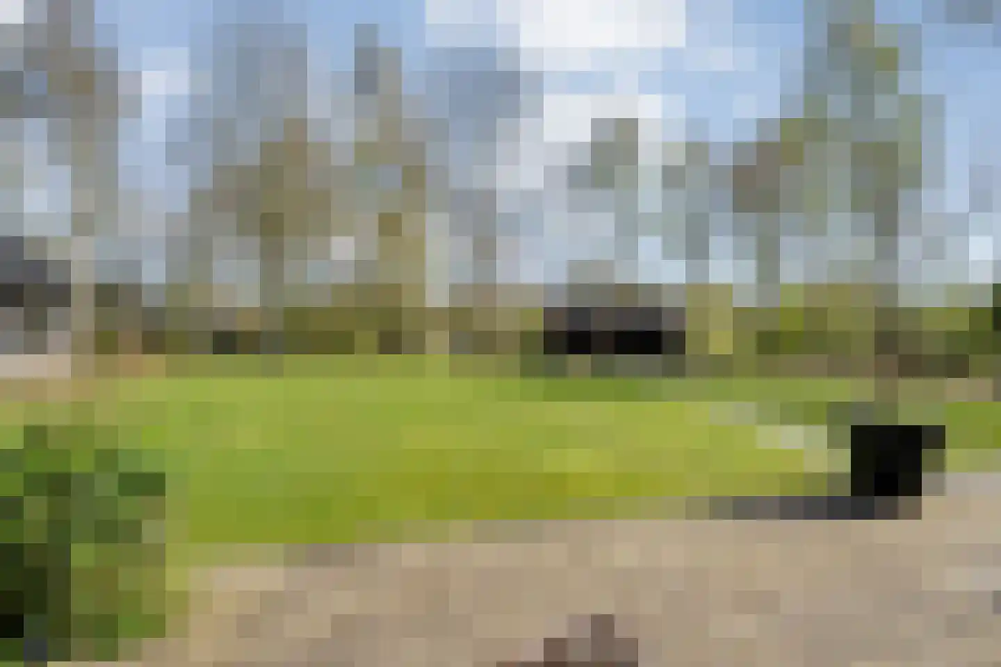 Zuiderboslaan 19 Dedemsvaart thumbnail 65
