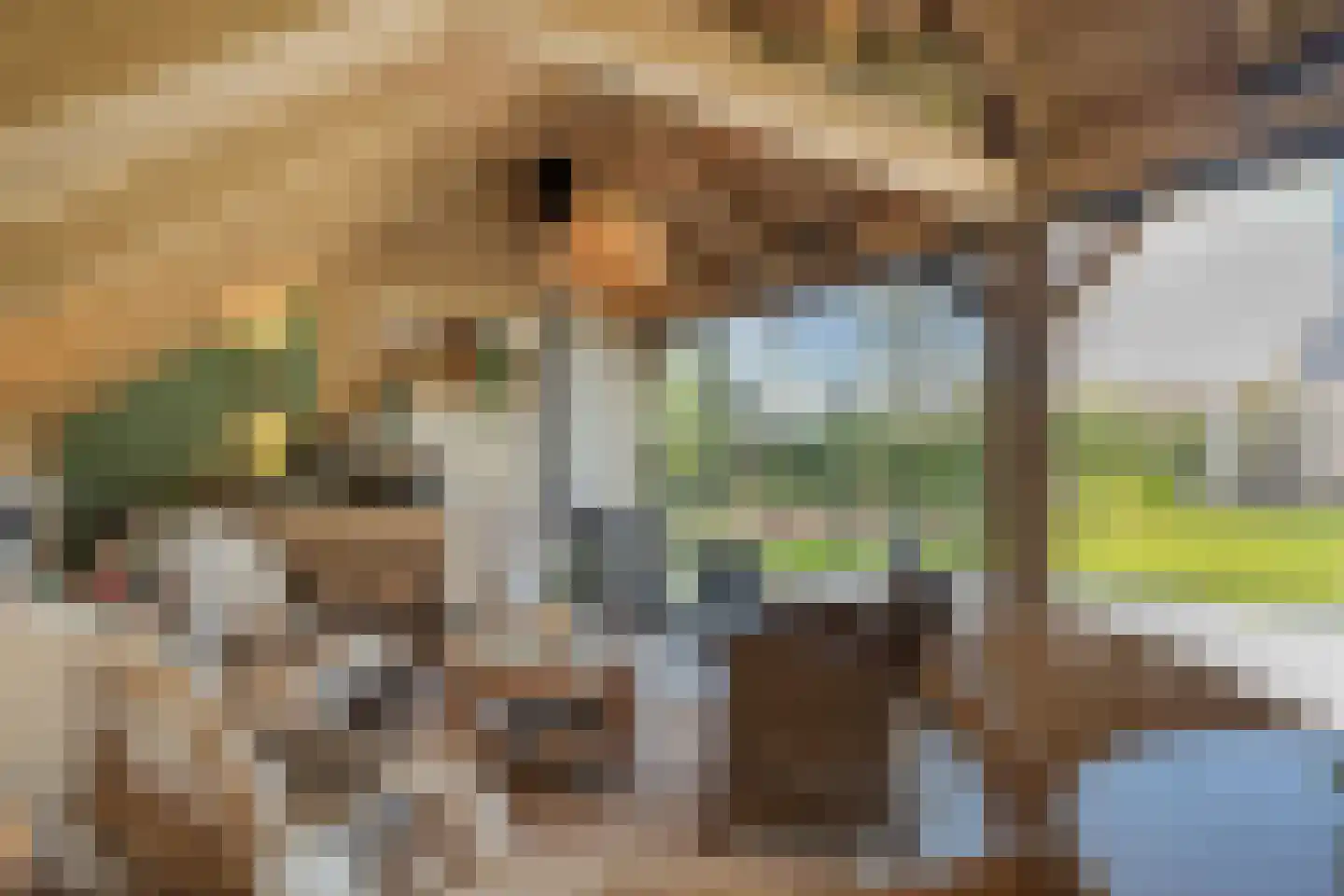 Zuiderboslaan 19 Dedemsvaart thumbnail 67