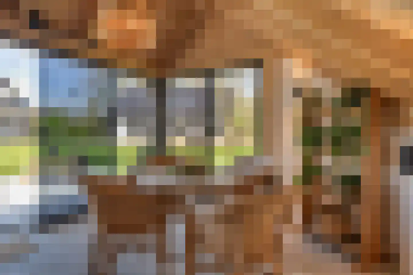 Zuiderboslaan 19 Dedemsvaart thumbnail 68