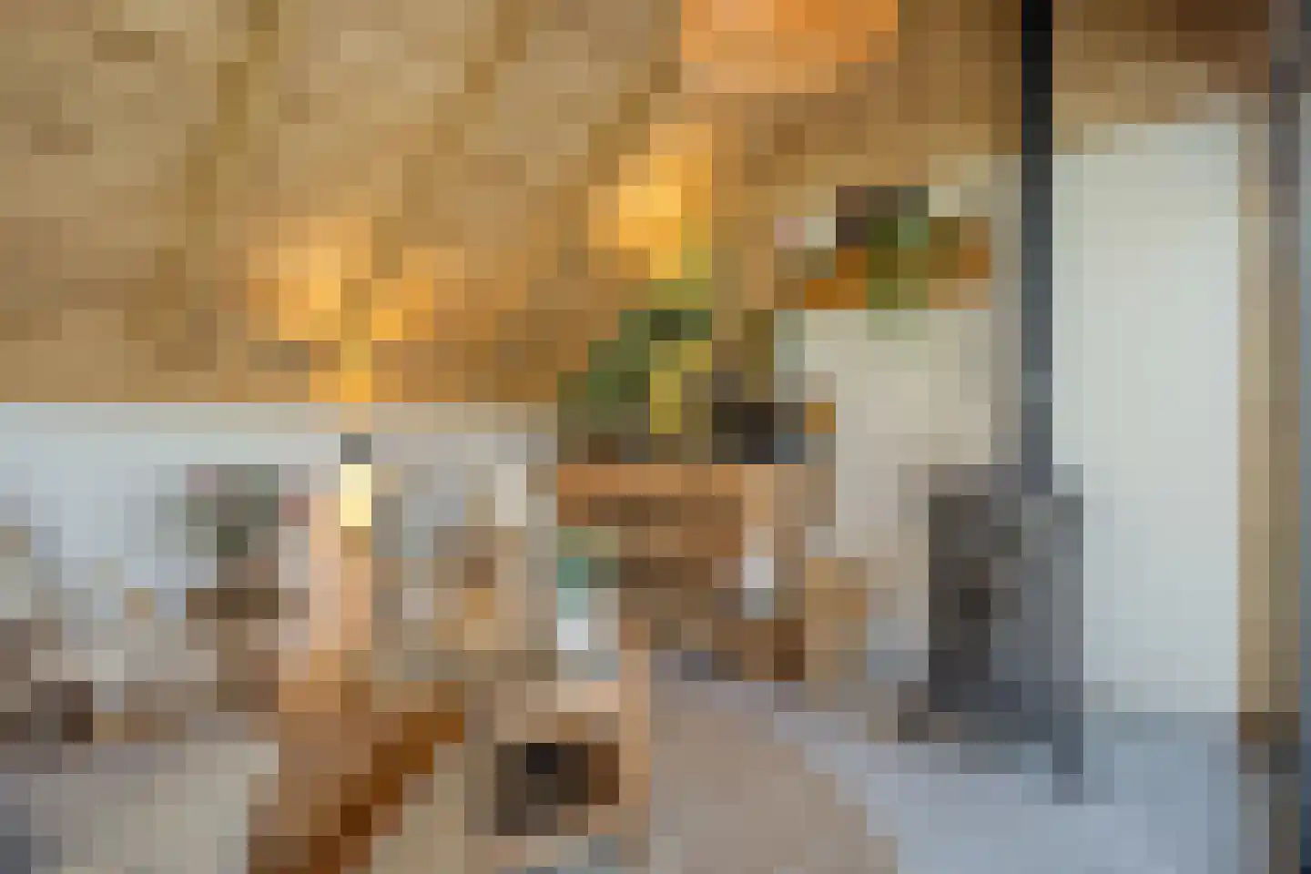 Zuiderboslaan 19 Dedemsvaart thumbnail 69