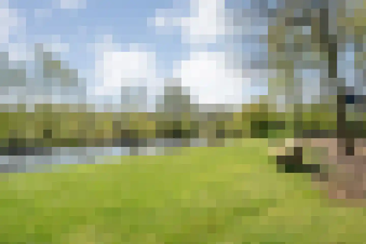 Zuiderboslaan 19 Dedemsvaart thumbnail 71