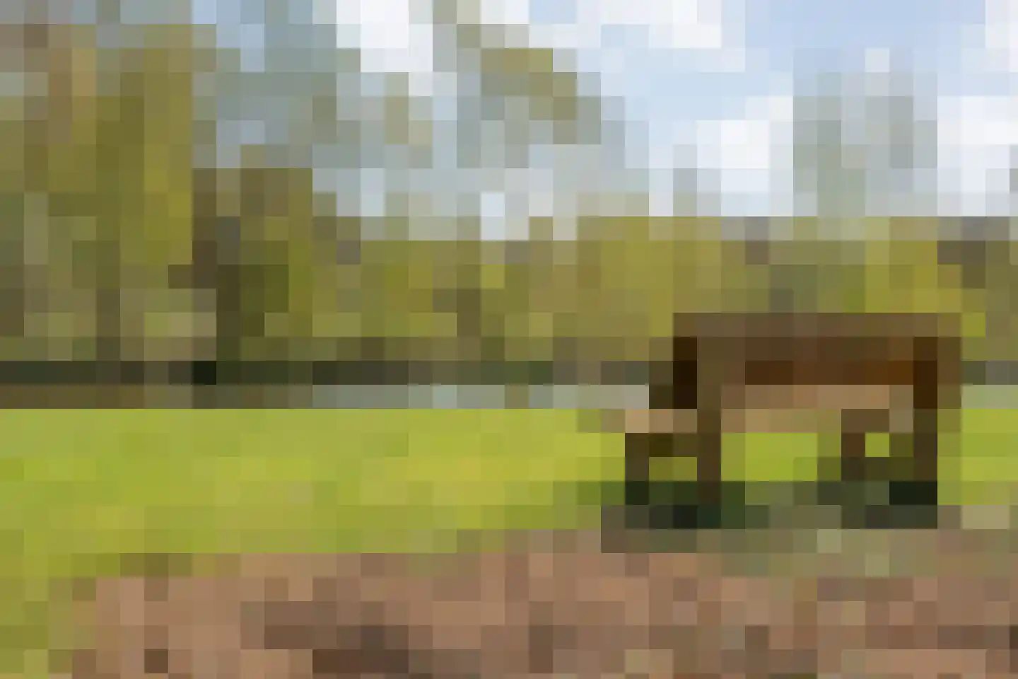 Zuiderboslaan 19 Dedemsvaart thumbnail 72