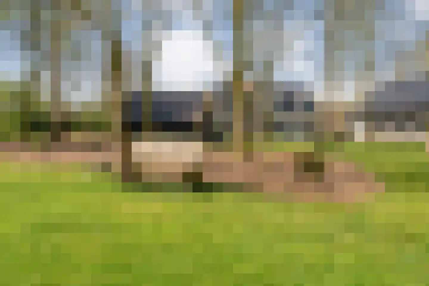 Zuiderboslaan 19 Dedemsvaart thumbnail 73