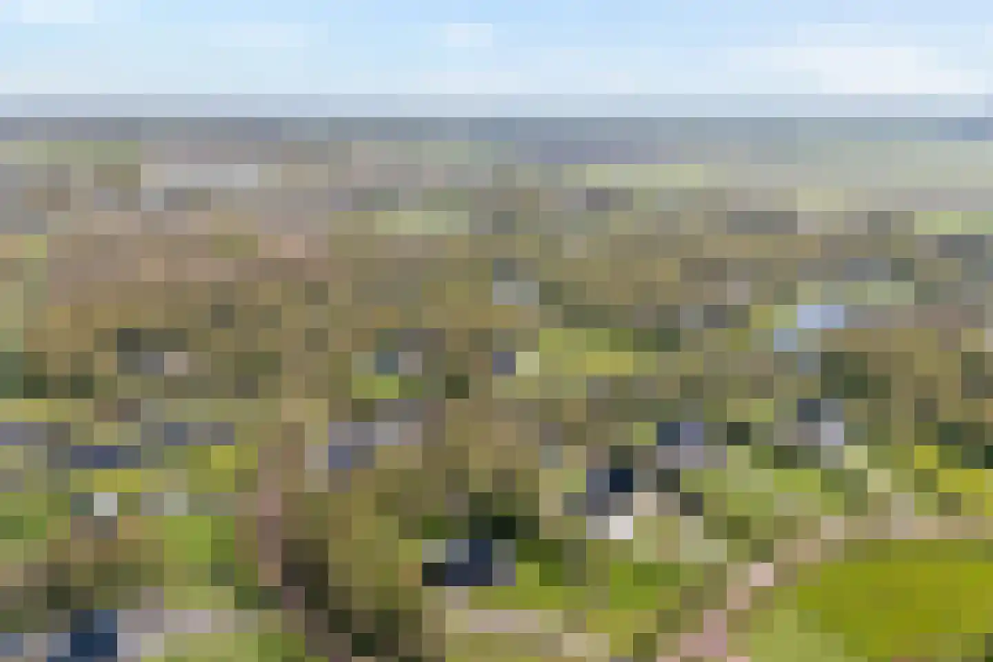 Zuiderboslaan 19 Dedemsvaart thumbnail 77