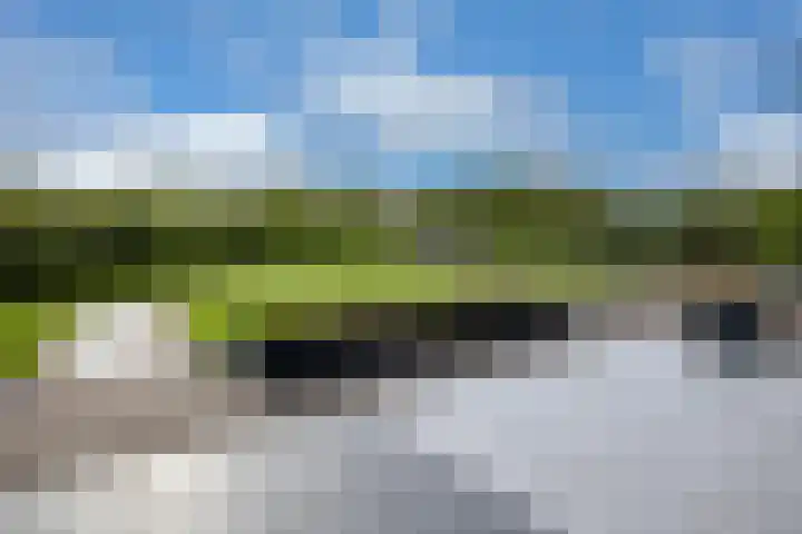 Zuiderboslaan 23 Dedemsvaart thumbnail 10
