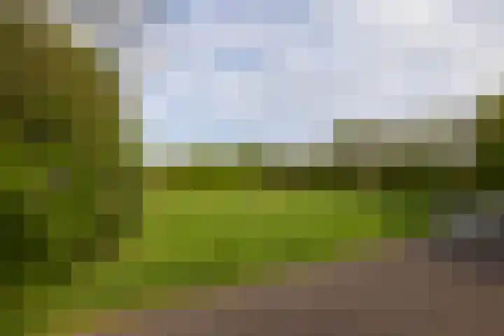 Zuiderboslaan 23 Dedemsvaart thumbnail 11
